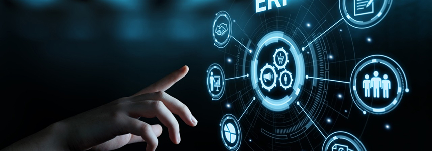 advanced erp modules development