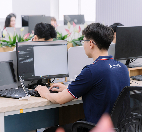 Full-stack Developers